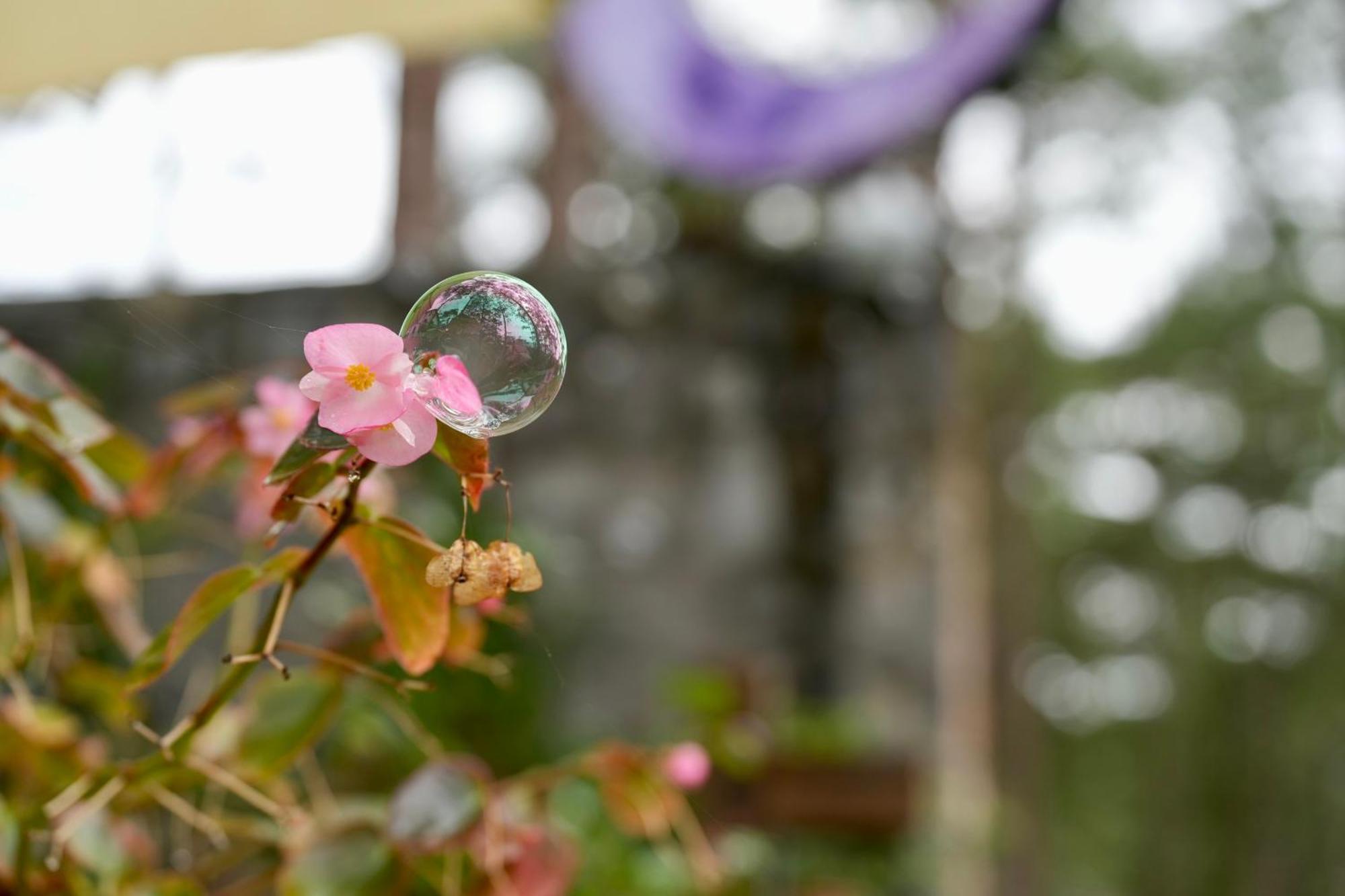 De Vivre Homestay Mang Den Kon Von Kla Kültér fotó